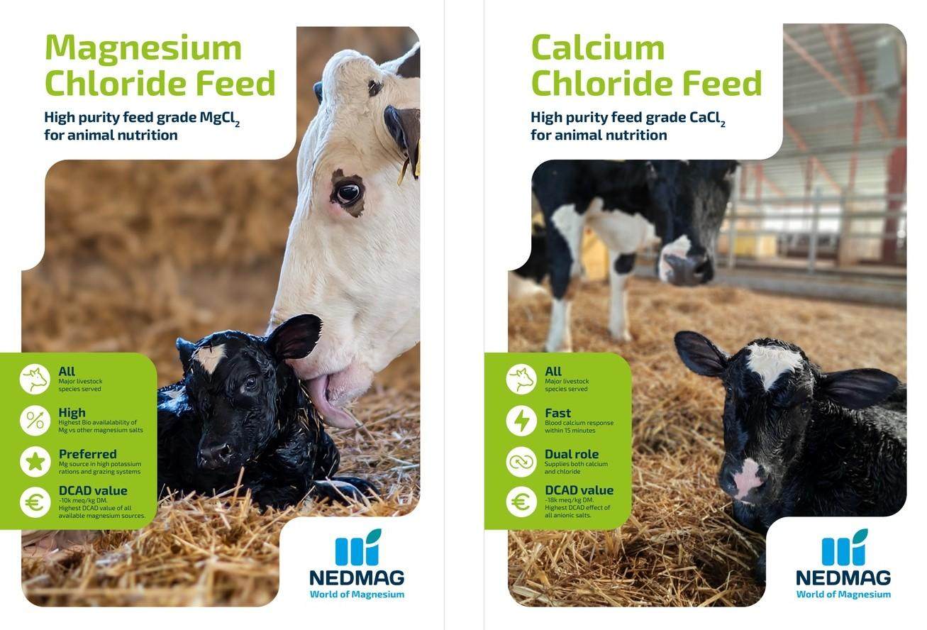 Feed flyers