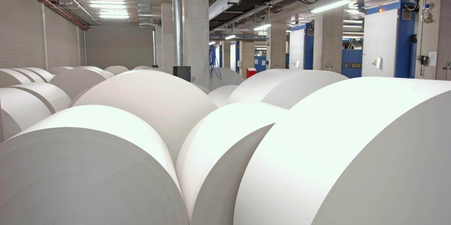 Pulp bleaching Nedmag B.V.